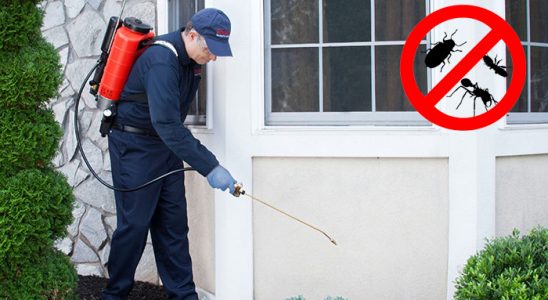Akıncılar Kene İlaçlama böcek ilaçlama ve haşere kontrolü — ilaclama-tr.com